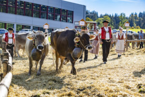 Appenzell, Appenzell Ausserrohden, Appenzeller Hinterland, Autumn, Fall, Herbst, Landwirtschaft, Ostschweiz, Schweiz, Sennen, Suisse, Switzerland, Tracht, Viehschau, Waldstatt, Wirtschaft, tradition