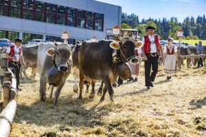Appenzell, Appenzell Ausserrohden, Appenzeller Hinterland, Autumn, Fall, Herbst, Landwirtschaft, Ostschweiz, Schweiz, Sennen, Suisse, Switzerland, Tracht, Viehschau, Waldstatt, Wirtschaft, tradition
