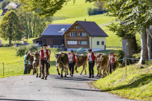 Appenzell, Appenzell Ausserrohden, Appenzeller Hinterland, Autumn, Fall, Herbst, Landwirtschaft, Ostschweiz, Schweiz, Sennen, Suisse, Switzerland, Tracht, Viehschau, Waldstatt, Wirtschaft, tradition