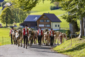 Appenzell, Appenzell Ausserrohden, Appenzeller Hinterland, Autumn, Fall, Herbst, Landwirtschaft, Ostschweiz, Schweiz, Sennen, Suisse, Switzerland, Tracht, Viehschau, Waldstatt, Wirtschaft, tradition