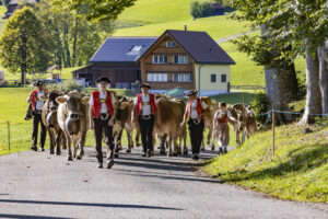 Appenzell, Appenzell Ausserrohden, Appenzeller Hinterland, Autumn, Fall, Herbst, Landwirtschaft, Ostschweiz, Schweiz, Sennen, Suisse, Switzerland, Tracht, Viehschau, Waldstatt, Wirtschaft, tradition
