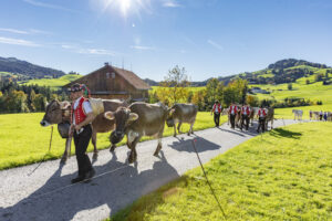 Appenzell, Appenzell Ausserrohden, Appenzeller Hinterland, Autumn, Fall, Herbst, Landwirtschaft, Ostschweiz, Schweiz, Sennen, Suisse, Switzerland, Tracht, Viehschau, Waldstatt, Wirtschaft, tradition