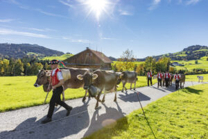 Appenzell, Appenzell Ausserrohden, Appenzeller Hinterland, Autumn, Fall, Herbst, Landwirtschaft, Ostschweiz, Schweiz, Sennen, Suisse, Switzerland, Tracht, Viehschau, Waldstatt, Wirtschaft, tradition