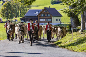 Appenzell, Appenzell Ausserrohden, Appenzeller Hinterland, Autumn, Fall, Herbst, Landwirtschaft, Ostschweiz, Schweiz, Sennen, Suisse, Switzerland, Tracht, Viehschau, Waldstatt, Wirtschaft, tradition