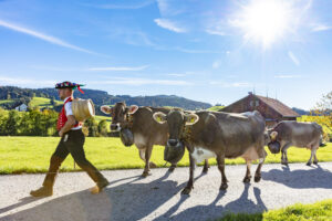 Appenzell, Appenzell Ausserrohden, Appenzeller Hinterland, Autumn, Fall, Herbst, Landwirtschaft, Ostschweiz, Schweiz, Sennen, Suisse, Switzerland, Tracht, Viehschau, Waldstatt, Wirtschaft, tradition