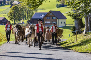 Appenzell, Appenzell Ausserrohden, Appenzeller Hinterland, Autumn, Fall, Herbst, Landwirtschaft, Ostschweiz, Schweiz, Sennen, Suisse, Switzerland, Tracht, Viehschau, Waldstatt, Wirtschaft, tradition
