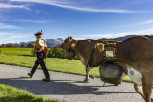 Appenzell, Appenzell Ausserrohden, Appenzeller Hinterland, Autumn, Fall, Herbst, Landwirtschaft, Ostschweiz, Schweiz, Sennen, Suisse, Switzerland, Tracht, Viehschau, Waldstatt, Wirtschaft, tradition