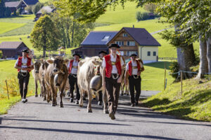 Appenzell, Appenzell Ausserrohden, Appenzeller Hinterland, Autumn, Fall, Herbst, Landwirtschaft, Ostschweiz, Schweiz, Sennen, Suisse, Switzerland, Tracht, Viehschau, Waldstatt, Wirtschaft, tradition