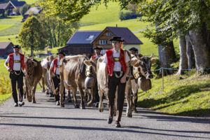 Appenzell, Appenzell Ausserrohden, Appenzeller Hinterland, Autumn, Fall, Herbst, Landwirtschaft, Ostschweiz, Schweiz, Sennen, Suisse, Switzerland, Tracht, Viehschau, Waldstatt, Wirtschaft, tradition