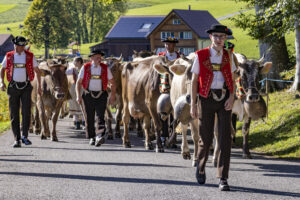 Appenzell, Appenzell Ausserrohden, Appenzeller Hinterland, Autumn, Fall, Herbst, Landwirtschaft, Ostschweiz, Schweiz, Sennen, Suisse, Switzerland, Tracht, Viehschau, Waldstatt, Wirtschaft, tradition