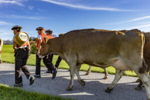 Appenzell, Appenzell Ausserrohden, Appenzeller Hinterland, Autumn, Fall, Herbst, Landwirtschaft, Ostschweiz, Schweiz, Sennen, Suisse, Switzerland, Tracht, Viehschau, Waldstatt, Wirtschaft, tradition