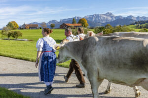 Appenzell, Appenzell Ausserrohden, Appenzeller Hinterland, Autumn, Fall, Herbst, Landwirtschaft, Ostschweiz, Schweiz, Sennen, Suisse, Switzerland, Tracht, Viehschau, Waldstatt, Wirtschaft, tradition