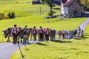 Appenzell, Appenzell Ausserrohden, Appenzeller Hinterland, Autumn, Fall, Herbst, Landwirtschaft, Ostschweiz, Schweiz, Sennen, Suisse, Switzerland, Tracht, Viehschau, Waldstatt, Wirtschaft, tradition