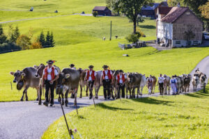 Appenzell, Appenzell Ausserrohden, Appenzeller Hinterland, Autumn, Fall, Herbst, Landwirtschaft, Ostschweiz, Schweiz, Sennen, Suisse, Switzerland, Tracht, Viehschau, Waldstatt, Wirtschaft, tradition