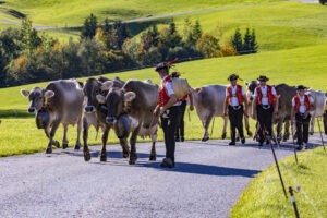 Appenzell, Appenzell Ausserrohden, Appenzeller Hinterland, Autumn, Fall, Herbst, Landwirtschaft, Ostschweiz, Schweiz, Sennen, Suisse, Switzerland, Tracht, Viehschau, Waldstatt, Wirtschaft, tradition