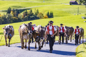 Appenzell, Appenzell Ausserrohden, Appenzeller Hinterland, Autumn, Fall, Herbst, Landwirtschaft, Ostschweiz, Schweiz, Sennen, Suisse, Switzerland, Tracht, Viehschau, Waldstatt, Wirtschaft, tradition