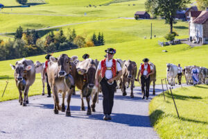 Appenzell, Appenzell Ausserrohden, Appenzeller Hinterland, Autumn, Fall, Herbst, Landwirtschaft, Ostschweiz, Schweiz, Sennen, Suisse, Switzerland, Tracht, Viehschau, Waldstatt, Wirtschaft, tradition