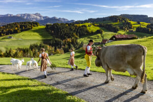 Appenzell, Appenzell Ausserrohden, Appenzeller Hinterland, Autumn, Fall, Herbst, Landwirtschaft, Ostschweiz, Schweiz, Sennen, Suisse, Switzerland, Tracht, Viehschau, Waldstatt, Wirtschaft, tradition