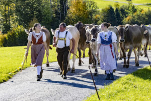 Appenzell, Appenzell Ausserrohden, Appenzeller Hinterland, Autumn, Fall, Herbst, Landwirtschaft, Ostschweiz, Schweiz, Sennen, Suisse, Switzerland, Tracht, Viehschau, Waldstatt, Wirtschaft, tradition
