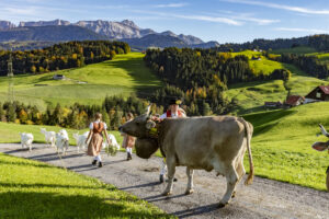 Appenzell, Appenzell Ausserrohden, Appenzeller Hinterland, Autumn, Fall, Herbst, Landwirtschaft, Ostschweiz, Schweiz, Sennen, Suisse, Switzerland, Tracht, Viehschau, Waldstatt, Wirtschaft, tradition