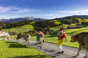 Appenzell, Appenzell Ausserrohden, Appenzeller Hinterland, Autumn, Fall, Herbst, Landwirtschaft, Ostschweiz, Schweiz, Sennen, Suisse, Switzerland, Tracht, Viehschau, Waldstatt, Wirtschaft, tradition