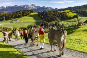 Appenzell, Appenzell Ausserrohden, Appenzeller Hinterland, Autumn, Fall, Herbst, Landwirtschaft, Ostschweiz, Schweiz, Sennen, Suisse, Switzerland, Tracht, Viehschau, Waldstatt, Wirtschaft, tradition