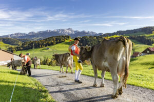 Appenzell, Appenzell Ausserrohden, Appenzeller Hinterland, Autumn, Fall, Herbst, Landwirtschaft, Ostschweiz, Schweiz, Sennen, Suisse, Switzerland, Tracht, Viehschau, Waldstatt, Wirtschaft, tradition