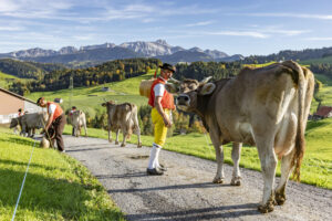 Appenzell, Appenzell Ausserrohden, Appenzeller Hinterland, Autumn, Fall, Herbst, Landwirtschaft, Ostschweiz, Schweiz, Sennen, Suisse, Switzerland, Tracht, Viehschau, Waldstatt, Wirtschaft, tradition
