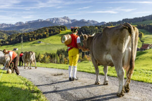 Appenzell, Appenzell Ausserrohden, Appenzeller Hinterland, Autumn, Fall, Herbst, Landwirtschaft, Ostschweiz, Schweiz, Sennen, Suisse, Switzerland, Tracht, Viehschau, Waldstatt, Wirtschaft, tradition