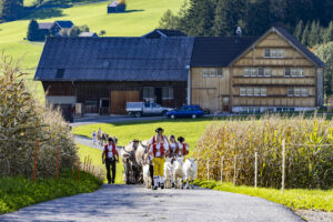 Appenzell, Appenzell Ausserrohden, Appenzeller Hinterland, Autumn, Fall, Herbst, Landwirtschaft, Ostschweiz, Schweiz, Sennen, Suisse, Switzerland, Tracht, Viehschau, Waldstatt, Wirtschaft, tradition