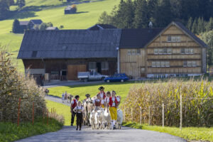 Appenzell, Appenzell Ausserrohden, Appenzeller Hinterland, Autumn, Fall, Herbst, Landwirtschaft, Ostschweiz, Schweiz, Sennen, Suisse, Switzerland, Tracht, Viehschau, Waldstatt, Wirtschaft, tradition