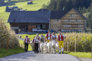 Appenzell, Appenzell Ausserrohden, Appenzeller Hinterland, Autumn, Fall, Herbst, Landwirtschaft, Ostschweiz, Schweiz, Sennen, Suisse, Switzerland, Tracht, Viehschau, Waldstatt, Wirtschaft, tradition