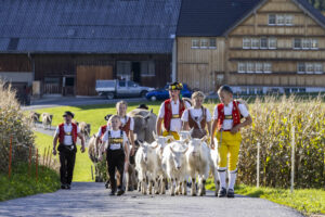 Appenzell, Appenzell Ausserrohden, Appenzeller Hinterland, Autumn, Fall, Herbst, Landwirtschaft, Ostschweiz, Schweiz, Sennen, Suisse, Switzerland, Tracht, Viehschau, Waldstatt, Wirtschaft, tradition