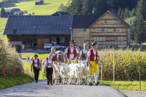 Appenzell, Appenzell Ausserrohden, Appenzeller Hinterland, Autumn, Fall, Herbst, Landwirtschaft, Ostschweiz, Schweiz, Sennen, Suisse, Switzerland, Tracht, Viehschau, Waldstatt, Wirtschaft, tradition