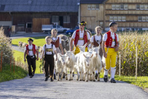 Appenzell, Appenzell Ausserrohden, Appenzeller Hinterland, Autumn, Fall, Herbst, Landwirtschaft, Ostschweiz, Schweiz, Sennen, Suisse, Switzerland, Tracht, Viehschau, Waldstatt, Wirtschaft, tradition