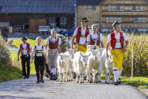 Appenzell, Appenzell Ausserrohden, Appenzeller Hinterland, Autumn, Fall, Herbst, Landwirtschaft, Ostschweiz, Schweiz, Sennen, Suisse, Switzerland, Tracht, Viehschau, Waldstatt, Wirtschaft, tradition