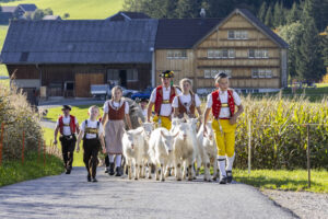 Appenzell, Appenzell Ausserrohden, Appenzeller Hinterland, Autumn, Fall, Herbst, Landwirtschaft, Ostschweiz, Schweiz, Sennen, Suisse, Switzerland, Tracht, Viehschau, Waldstatt, Wirtschaft, tradition