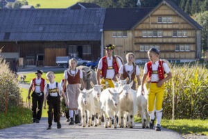 Appenzell, Appenzell Ausserrohden, Appenzeller Hinterland, Autumn, Fall, Herbst, Landwirtschaft, Ostschweiz, Schweiz, Sennen, Suisse, Switzerland, Tracht, Viehschau, Waldstatt, Wirtschaft, tradition