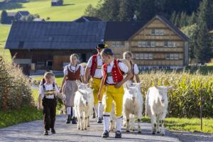 Appenzell, Appenzell Ausserrohden, Appenzeller Hinterland, Autumn, Fall, Herbst, Landwirtschaft, Ostschweiz, Schweiz, Sennen, Suisse, Switzerland, Tracht, Viehschau, Waldstatt, Wirtschaft, tradition