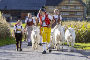 Appenzell, Appenzell Ausserrohden, Appenzeller Hinterland, Autumn, Fall, Herbst, Landwirtschaft, Ostschweiz, Schweiz, Sennen, Suisse, Switzerland, Tracht, Viehschau, Waldstatt, Wirtschaft, tradition