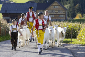Appenzell, Appenzell Ausserrohden, Appenzeller Hinterland, Autumn, Fall, Herbst, Landwirtschaft, Ostschweiz, Schweiz, Sennen, Suisse, Switzerland, Tracht, Viehschau, Waldstatt, Wirtschaft, tradition