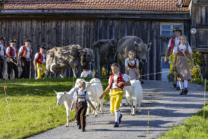 Appenzell, Appenzell Ausserrohden, Appenzeller Hinterland, Autumn, Fall, Herbst, Landwirtschaft, Ostschweiz, Schweiz, Sennen, Suisse, Switzerland, Tracht, Viehschau, Waldstatt, Wirtschaft, tradition