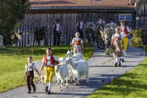 Appenzell, Appenzell Ausserrohden, Appenzeller Hinterland, Autumn, Fall, Herbst, Landwirtschaft, Ostschweiz, Schweiz, Sennen, Suisse, Switzerland, Tracht, Viehschau, Waldstatt, Wirtschaft, tradition