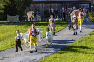 Appenzell, Appenzell Ausserrohden, Appenzeller Hinterland, Autumn, Fall, Herbst, Landwirtschaft, Ostschweiz, Schweiz, Sennen, Suisse, Switzerland, Tracht, Viehschau, Waldstatt, Wirtschaft, tradition