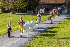 Appenzell, Appenzell Ausserrohden, Appenzeller Hinterland, Autumn, Fall, Herbst, Landwirtschaft, Ostschweiz, Schweiz, Sennen, Suisse, Switzerland, Tracht, Viehschau, Waldstatt, Wirtschaft, tradition