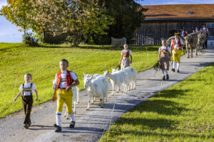 Appenzell, Appenzell Ausserrohden, Appenzeller Hinterland, Autumn, Fall, Herbst, Landwirtschaft, Ostschweiz, Schweiz, Sennen, Suisse, Switzerland, Tracht, Viehschau, Waldstatt, Wirtschaft, tradition