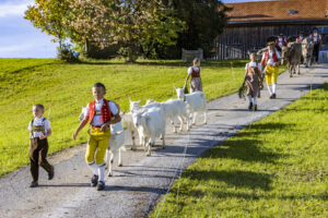 Appenzell, Appenzell Ausserrohden, Appenzeller Hinterland, Autumn, Fall, Herbst, Landwirtschaft, Ostschweiz, Schweiz, Sennen, Suisse, Switzerland, Tracht, Viehschau, Waldstatt, Wirtschaft, tradition