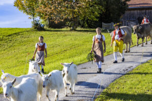 Appenzell, Appenzell Ausserrohden, Appenzeller Hinterland, Autumn, Fall, Herbst, Landwirtschaft, Ostschweiz, Schweiz, Sennen, Suisse, Switzerland, Tracht, Viehschau, Waldstatt, Wirtschaft, tradition