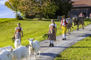 Appenzell, Appenzell Ausserrohden, Appenzeller Hinterland, Autumn, Fall, Herbst, Landwirtschaft, Ostschweiz, Schweiz, Sennen, Suisse, Switzerland, Tracht, Viehschau, Waldstatt, Wirtschaft, tradition