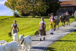 Appenzell, Appenzell Ausserrohden, Appenzeller Hinterland, Autumn, Fall, Herbst, Landwirtschaft, Ostschweiz, Schweiz, Sennen, Suisse, Switzerland, Tracht, Viehschau, Waldstatt, Wirtschaft, tradition